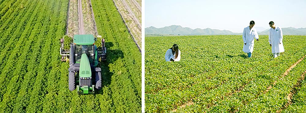 遼寧正業(yè)花生產(chǎn)業(yè)：共抗疫情，龍頭企業(yè)顯擔(dān)當(dāng)！(圖3)