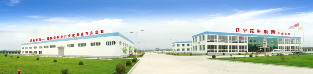 葫蘆島市委常委、副市長(zhǎng)張明謙蒞臨遼寧花生集團(tuán)考察指導(dǎo)(圖3)